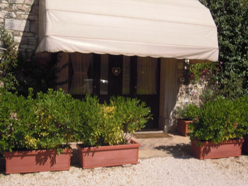 Apartamento Il Turrione Asís Exterior foto